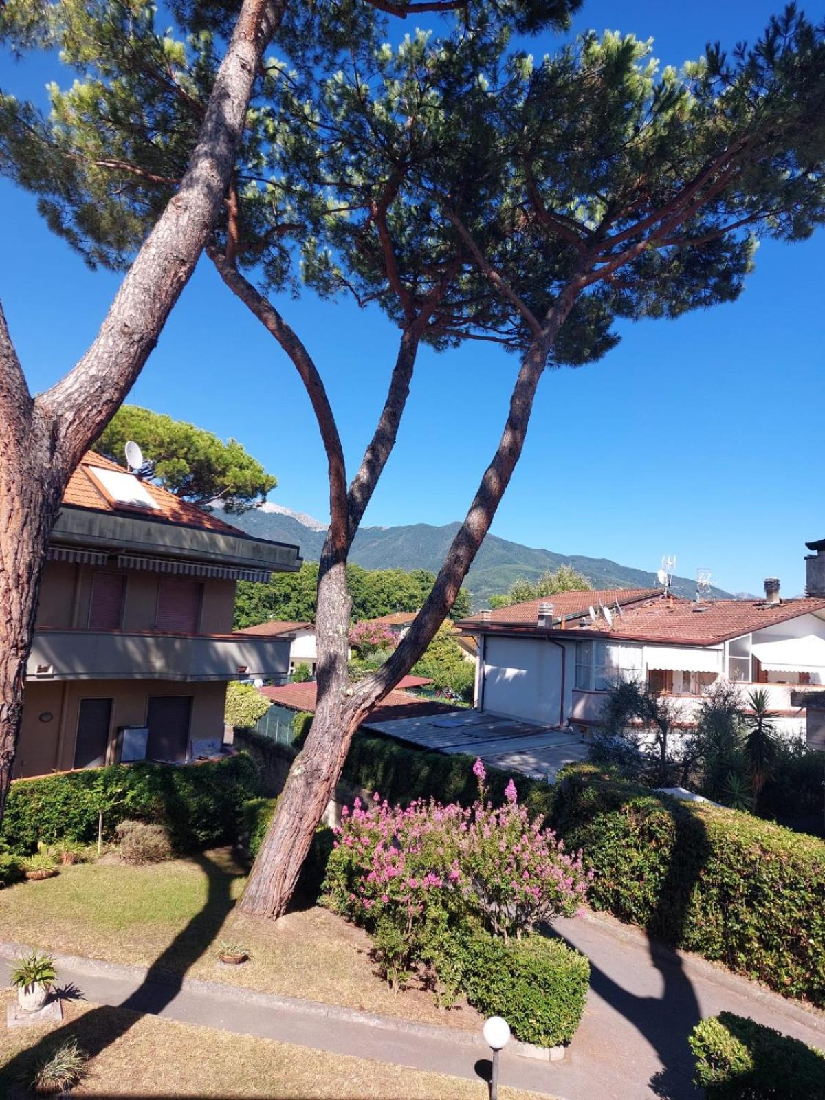 Appartamento Al Mare Di Liguria E Toscana มารีนา ดิ มาซซา ภายนอก รูปภาพ